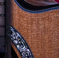 Guitar Panel 12